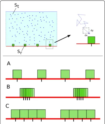Figure 2 Simulation environment. Top panel: On the left is a cartoon view of the 2D membrane of area S t 