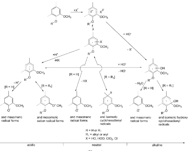 Figure I-14. Initiation of radical bleaching reactions with 