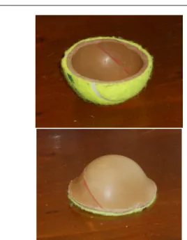 Fig. 7 Natural (a) and everted (b) configurations for half a ten- ten-nis ball.