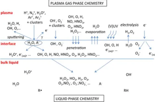 Figure 1-20.  Diagramme schématique des principales espèces réactives générées par un plasma  d’argon/d’air en contact avec de l’eau (Bruggeman et al., (2016))