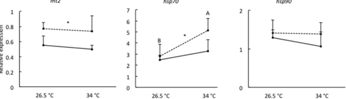 Figure 4.  Relative expression of mt2, hsp70 and hsp90 in 96 hpf zebrafish larvae following exposure to  0  μ g Cu/L (solid line) or 325  μ g Cu/L (dashed line) at either 26.5 °C or 34 °C from  &lt; 1 to 4 hpf