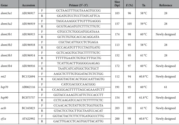 Table 3.   List of specific primers used for quantitative real-time PCR. For each gene, its GenBank accession  number, amplicon size (bp), amplification efficiency (E) and annealing temperature (Ta) are indicated.