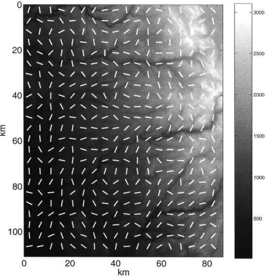 Figure  3-2:  Anisotropic  director  field  for  the  topography  (121&#34;W/39&#34;N  to 120&#34;W/38 0 N)