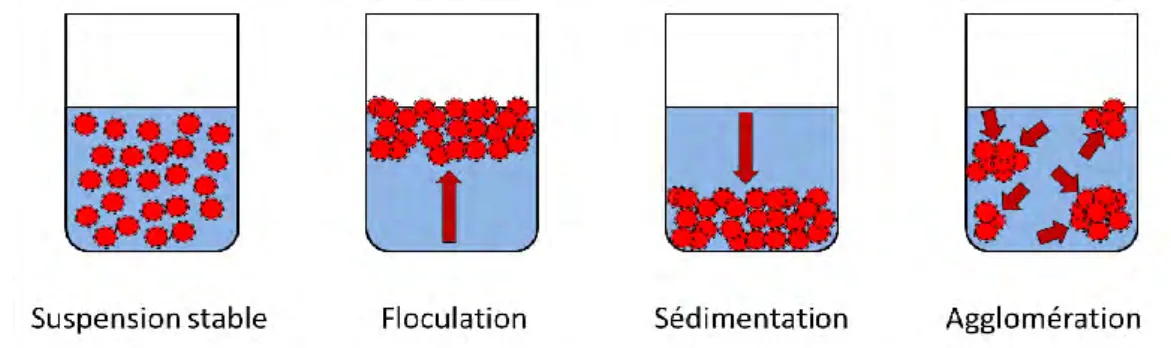 Figure 2.2 : Etats physiques existants après la dispersion des nanoparticules dans un solvant