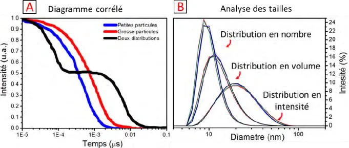 Figure 2.6: Résultats d’analyse fournis par l’ordinateur à partir des signaux bruts [(a) corrélogramme et (b) dis- dis-tributions des diamètres existants dans la solution]