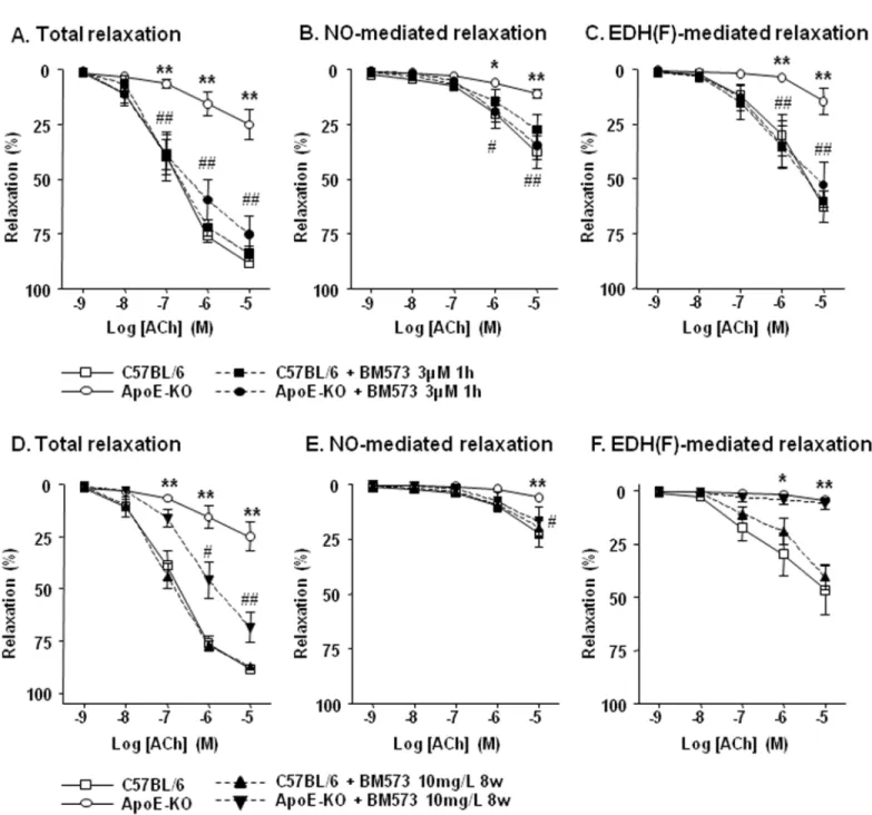 Fig 2. Effects of short ex-vivo and long in-vivo BM-573 treatment on the microvascular relaxation