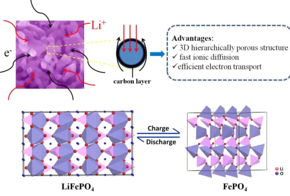 Figure 10.  Mechanism diagram of LFP/C for Li +  intercalation-deintercalation. 