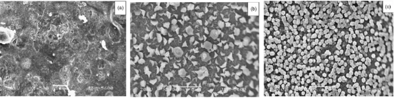 Figure  I.  11.  Images  MEB  de  films  de  ZnO  élaborés  par  spray  pyrolyse  à  550°C,  utilisant  trois  différentes solutions 0,1M de (a) nitrate de zinc, (b) acétate de zinc et (c) chlorure de zinc [180]