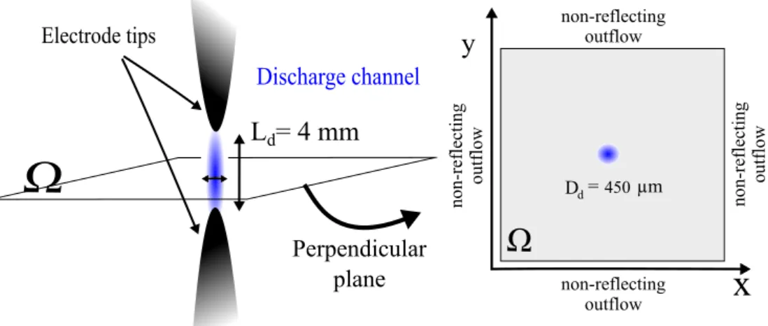 Figure 3.1: Schematic of a pin-to-pin configuration of NRP discharges device.