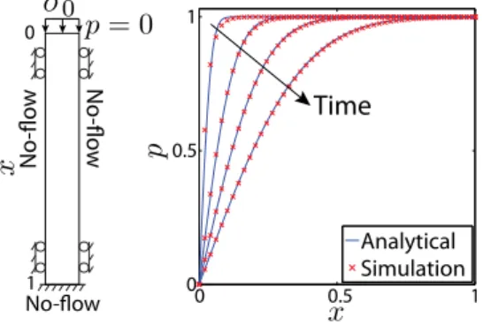 Figure 4. Terzaghi’s uniaxial compaction problem. (left) Model with boundary conditions.