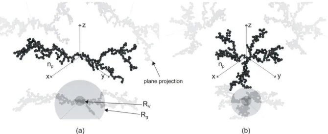 Figure  2.14.  Fractal  aggregates  of  300  polydisperse  monomers  (log-normal  distribution,  σ p = 0.5 )  with  the  same  radius  in  volume  R v = 6.69   but  various  fractal  dimensions  and  radiuses  of  gyration: 