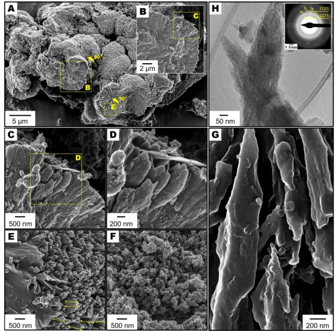 Figure 7. Higher-order mineral structures following crystallization. Representative  974 