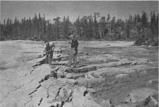 Fig.  l.  Thawing  of  frozen  soil  following  clearing  for  road  construction;  the  soil  was  a 6ne  silt  with  such  a  high  moisture  content  that  it  slumped  and  flowed  as it  rhawed,  once
