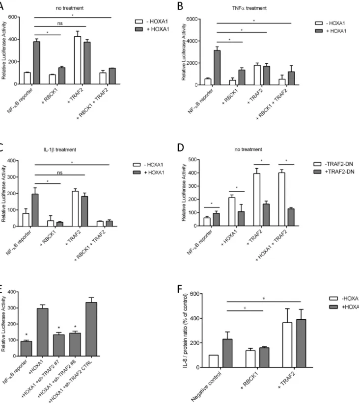 Figure 4. Effect of RBCK1 and TRAF2 on the HOXA1-mediated activation of the NF- ␬ B reporter