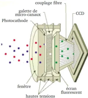 Figure  3-12 :  principe de fonctionnement et  éléments constitutifs  d’une  caméra ICCD [10]