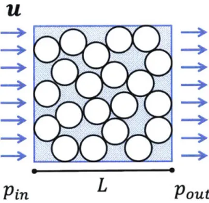 Figure  2-4:  In  a  dense  mixture  (0  -+  0.65),  the  viscous  drag  of  the  fluid  phase  on  the  solid phase  can be  determined  empirically  by relating  the  pressure  drop,  (pout -Pin)  measure  over some  distance,  L,  to  the  measured  ste