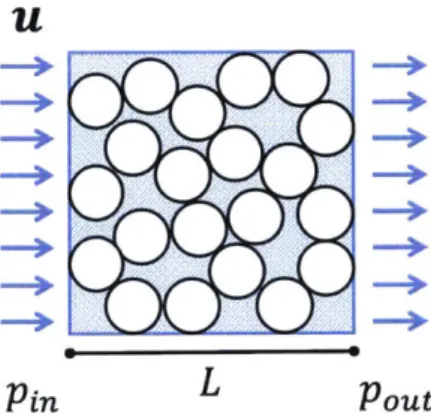 Figure  2-4:  In  a  dense  mixture  (0  -+  0.65),  the  viscous  drag  of  the  fluid  phase  on  the  solid phase  can be  determined  empirically  by relating  the  pressure  drop,  (pout -Pin)  measure  over some  distance,  L,  to  the  measured  ste