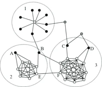 Fig. 5. A sample network consisting of three core/peripheral structures, represented by gray circles (1–3)