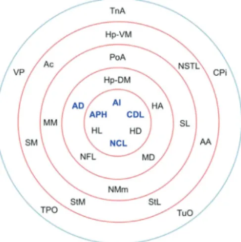 Fig. 11. Sub-shells of the innermost k-core following k-core decomposition. The innermost k-core (i = 10) contains almost half the nodes in the network, but its sub-shell structure reveals a finer level of organization