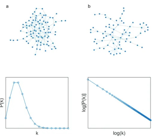 Fig. 2. (a) An Erdős–Rényi network and its degree distribution. (b) A scale-free network and its degree distribution.