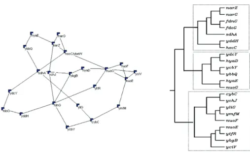 Fig. 4. The Protein–Protein Interaction (PPI) network introduced by Altaf et al. [38] and the classification structure by using k-core.
