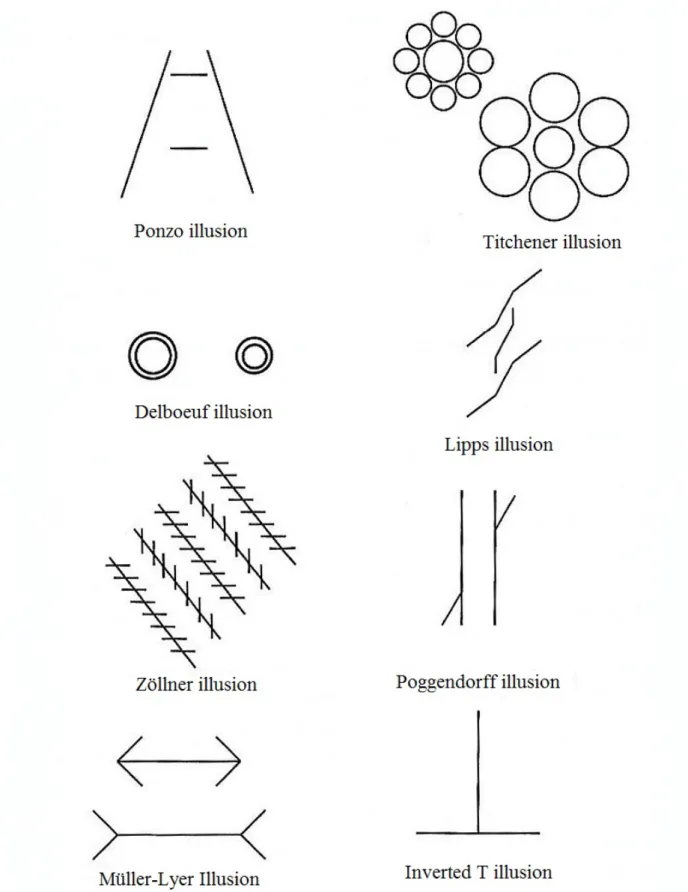Figure 4: Different optical illusions where context deceives (Nicolas, Gyselinck, Vergilino- Vergilino-Perez, and Doré-Mazars, 2009)