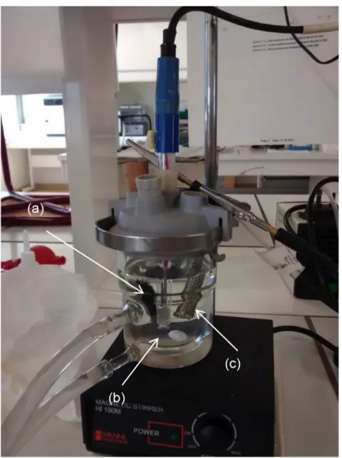 Fig. 2. Experimental setup used for the currentepotential curves and the electrolysis tests: (a) cathode (composite material or carbon felt alone), (b) reference electrode (saturated calomel electrode), and (c) counter electrode (Pt).