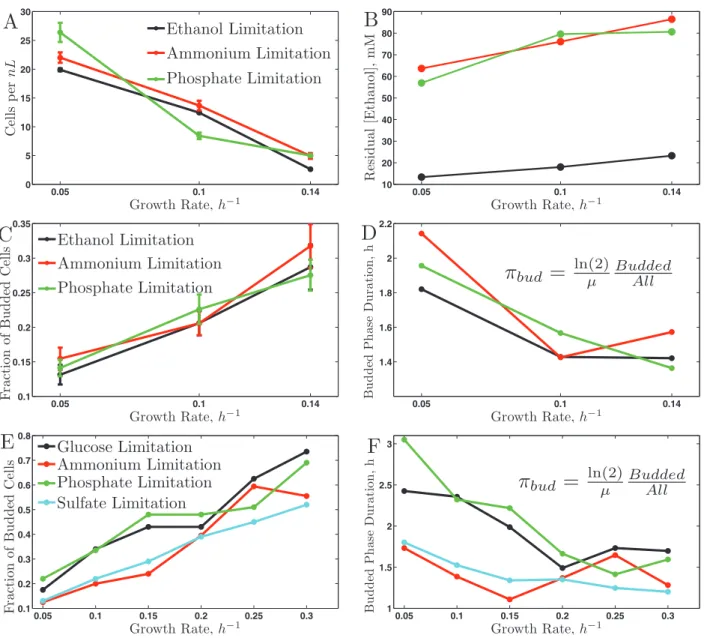 FIGURE 1:  Physiological responses to growth rate on ethanol (A–D) and on glucose (E–F), (Brauer et al., 2008)