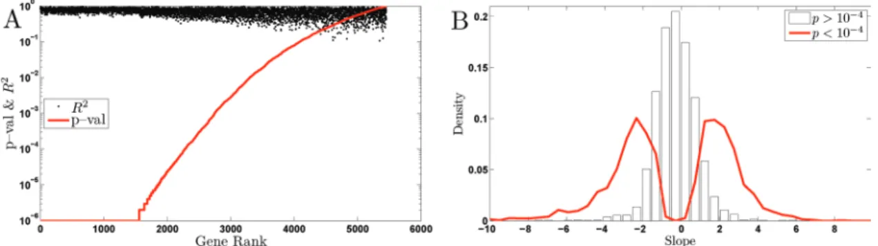 Figure 7 shows these data for two wild-type prototrophic cultures  (DBY12007):  one  growing  at  0.133  h −1   fed  with  media  containing full list with the genes and the universal GRR corresponding to each 