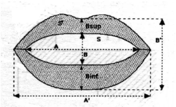 Figure 2: Parameters used for lip shape modeling.