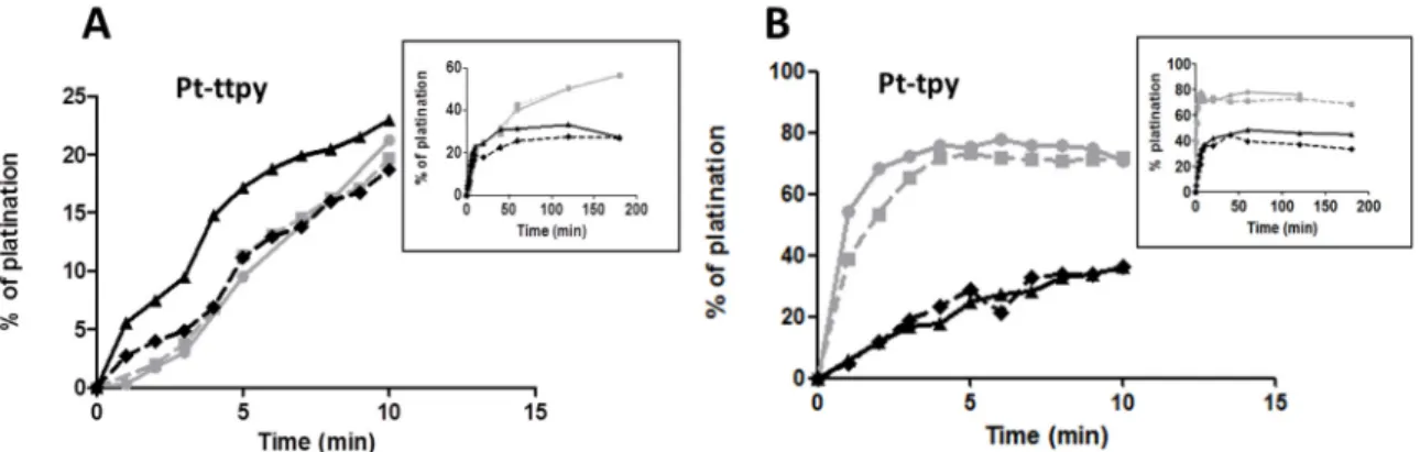 Figure 6. The kinetics of the formation of the platination products on  32 P radiolabelled c-myc* (0.2  µM) with (grey square) or without (grey circle) cold duplex competitor DNA ds26 (10 µM) or on  32 P  radiolabelled ds26* (10 µM) with (black triangle) o