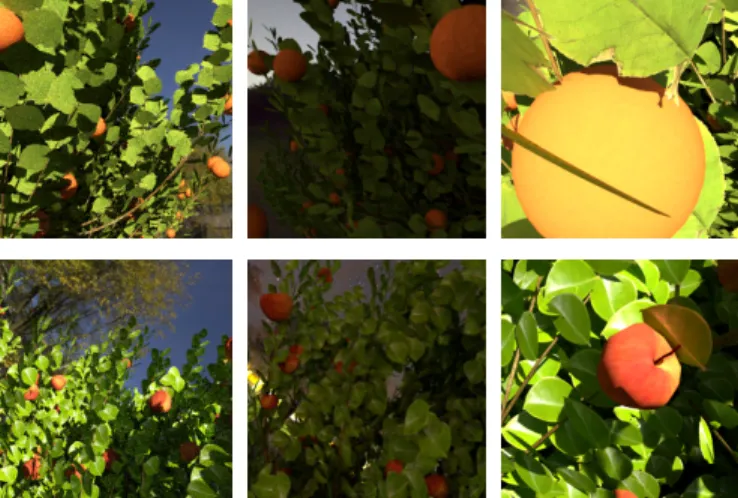 Figure 1: Samples of synthetic oranges (top) and apples (bot- (bot-tom) with different lightning conditions and rendering qualities.