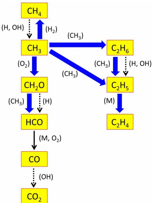 Figure 15 Homogeneous-phase reaction pathway analysis showing the important carbon-containing species and dominant  reactions in ITM supported fuel conversion processes, when both heterogeneous and homogeneous chemistry play an  important role in the overa