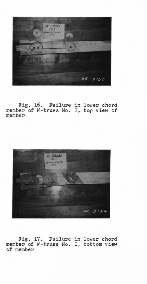 Fig. 17. Failure in lower chord member of w-truss No. I, bottom view of member