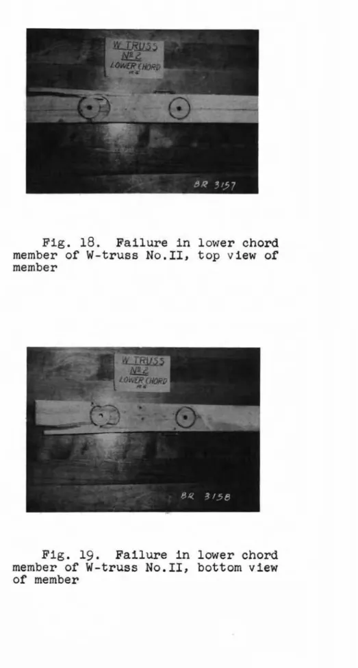 Fig. 19. Failure in lower chord member of W-truss No.II, bottom view of member