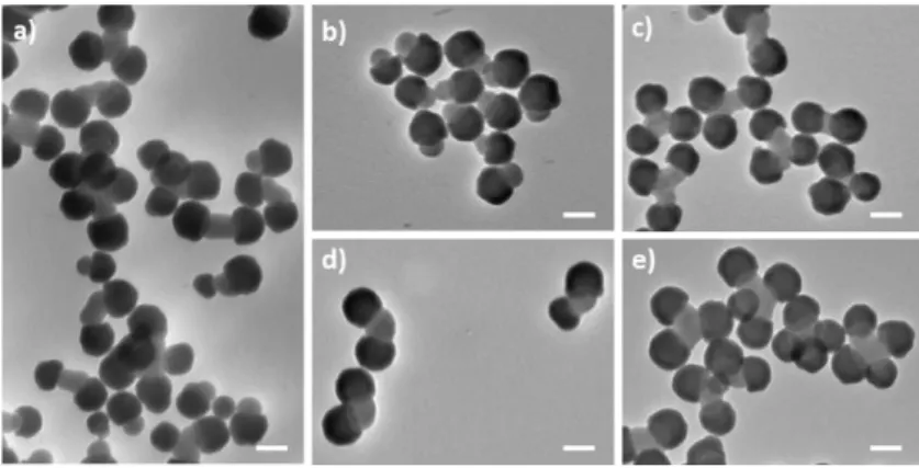 Fig. 7 Representative TEM images of a) the cluster mixture from silica/PS dumbbell-shaped  NPs  (Batch  #3)  as  obtained  after  solvent-induced  assembly  and  b-e)  after  sampling  in  the  centrifugation  tube  in  different  bands  (scale  bars:  100