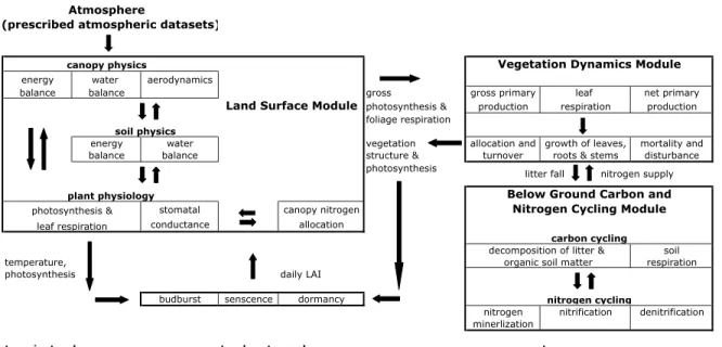 Figure 3-1: Schematic of IBIS. The characteristic timescales of the processes are indicated at the bottom of the figure [Kucharik et al., 2000].