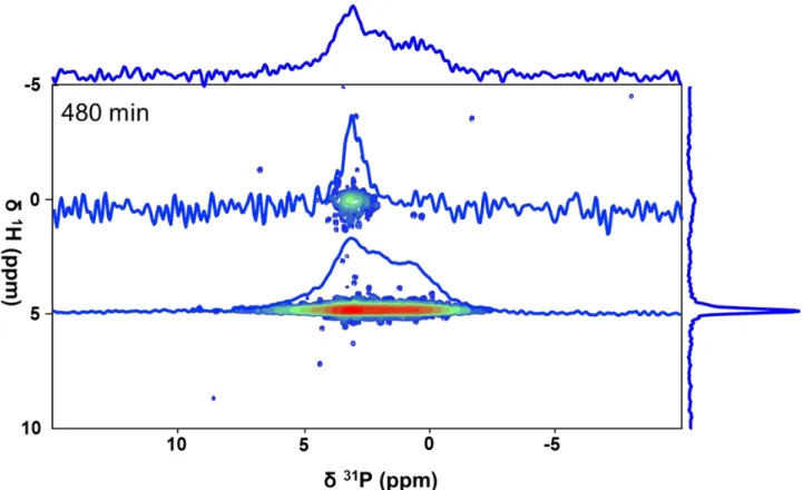 Figure 5: 2D  1 H- 31 P HetCor experiment (1 ms contact time) recorded after 480 min. together with  31 P  1D spectra extracted at   ( 1 H) = 0 ppm (OH -  from cHAp) and   ( 1 H) = 5 ppm (water molecules from OCP)
