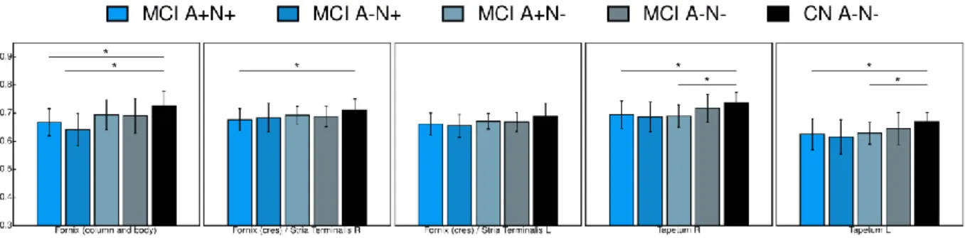 Figure 1. Mean FA in anatomical white matter tracks. Mean FA values for the fornix and  the tapetum for which significant differences were found