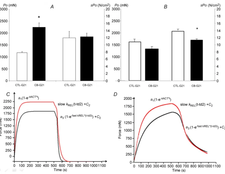 Figure 2. Effect of clenbuterol treatment on maximal isometric tetanic power (P o ), specific isometric tetanic power (sP o ), and force development and force relaxation kinetics in EDL (A, C) and SOL (B, D) muscle