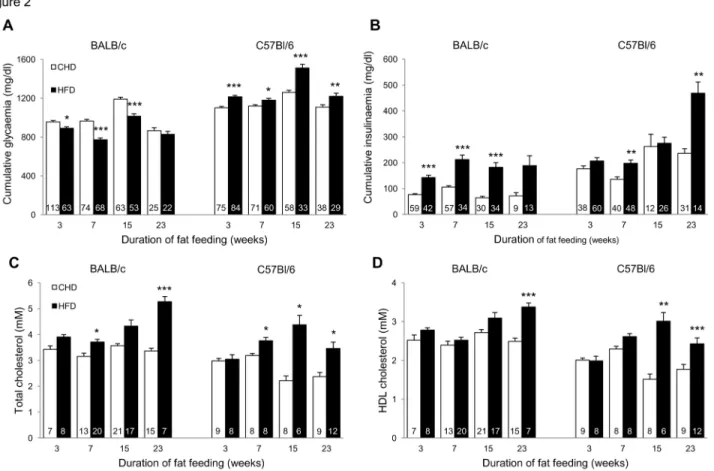 Figure 2.  Effects of prolonged high fat diet (HFD) feeding on glucose and lipid regulations