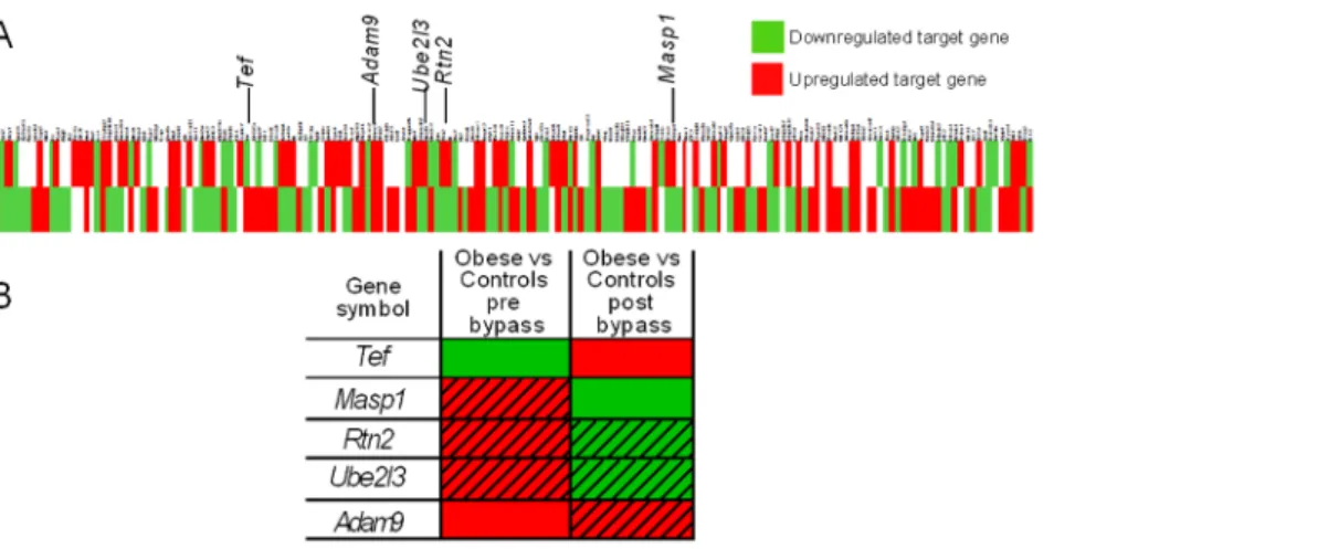 Figure 7. Tef expression level in subcutaneous adipose tissue is associated with fasting insulinemia and Quantitative insulin sensitivity index (QUICKI) in obese patients
