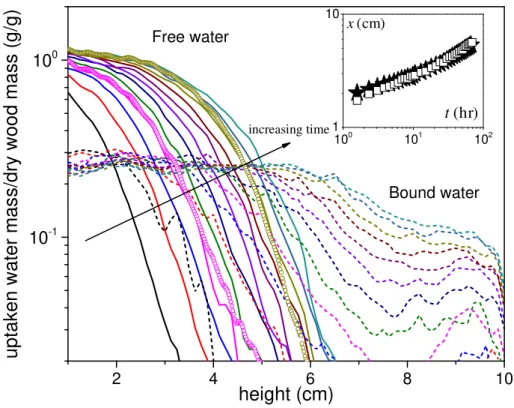 Figure 9 : Distribution of absorbed free water (solid lines) and bound water (short dash)  content along the sample axis at different times: (from left to right) 3 h after first contact  with water, then every 6 h