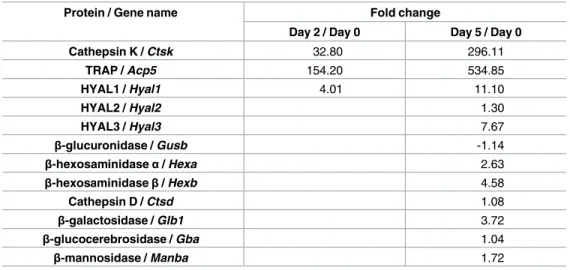 Table 1. Relative mRNA expression levels of hyaluronidases and lysosomal hydrolases in osteo- osteo-clasts collected at day 2 or 5 of the differentiation process, compared to RAW264.7 precursor  macro-phages (day 0).