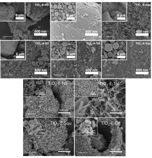 Figure 4. SEM images of calcined TiO 2  samples. 