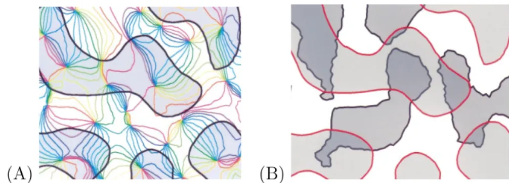 Figure 12. Relationship between ocular dominance and spatial frequency domains.