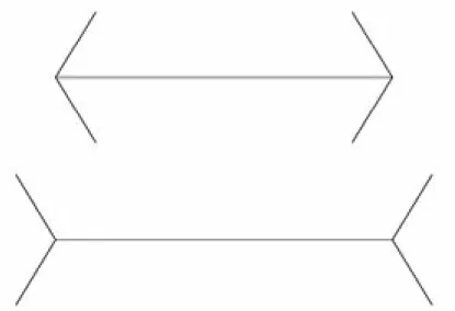 Figure 5.3: The Muller-Lyer illusion: while the top line (arrows pointing outside) appear shorter than the bottom one, the lines are in fact of the same length.
