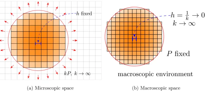 FIG. 2: The limiting process k → ∞ observed in the microscopic and macroscopic space