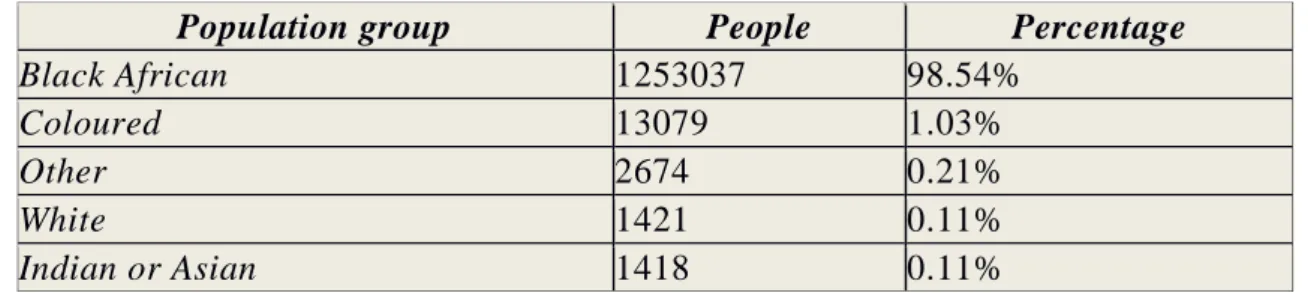 Figure n°10, reproduction des résultats du Census 2011, StatSA. 