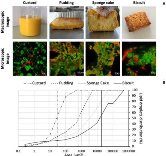 Figure 2. Model food characteristics. A) Macroscopic and microscopic images of model foods